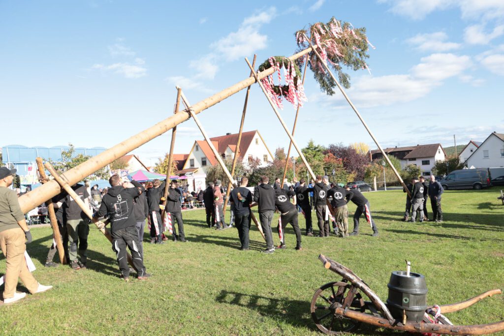 Die Kerwasburschen stellten einen stattlichen Baum am Festgelände auf