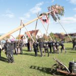 Die Kerwasburschen stellten einen stattlichen Baum am Festgelände auf